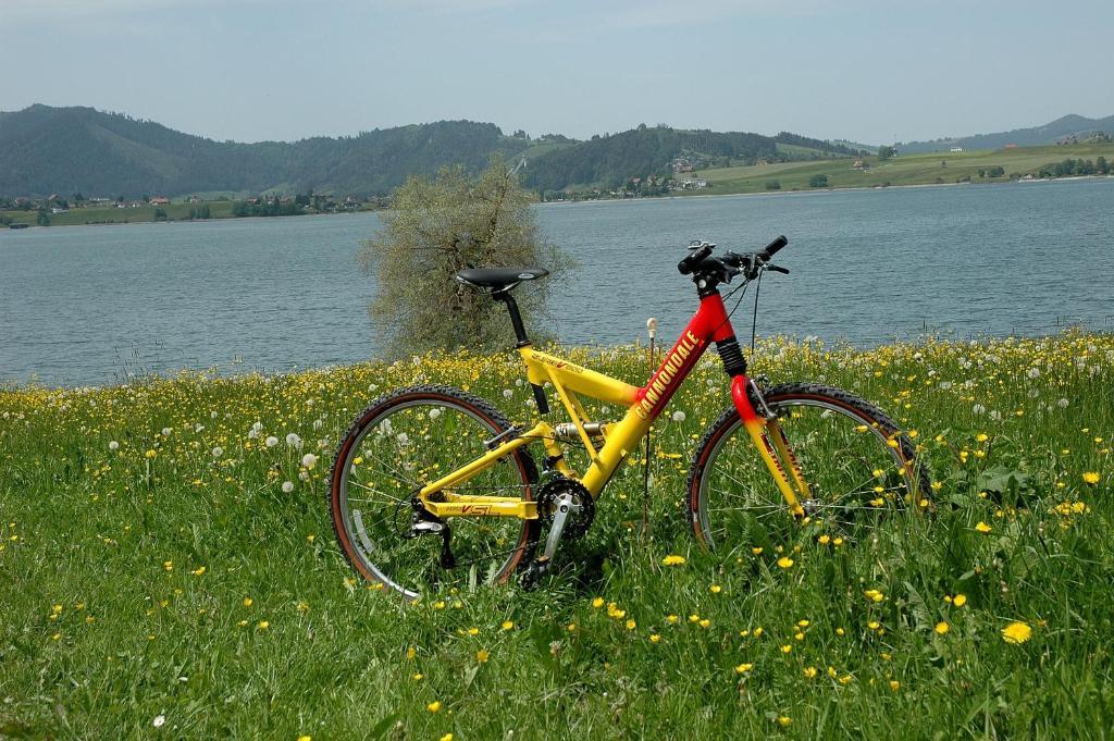 B&B Ferienhof Am See Willerzell Exterior foto